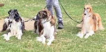 2022 CAC Bad Homburg