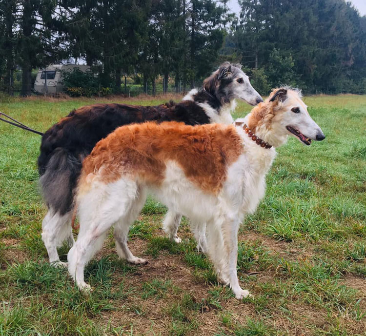 Stepuns Zubatoi und Zora Zarina