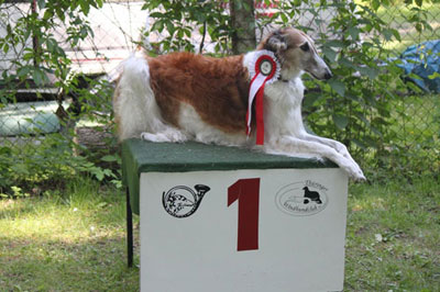 CH SStepuns Zora Zarina