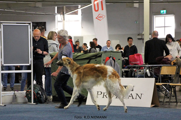 Stepuns Haribowitsch