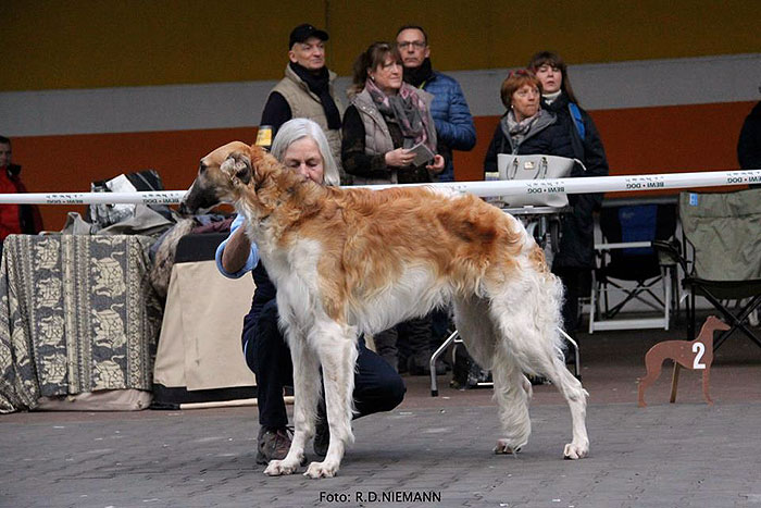 Stepuns Haribowitsch