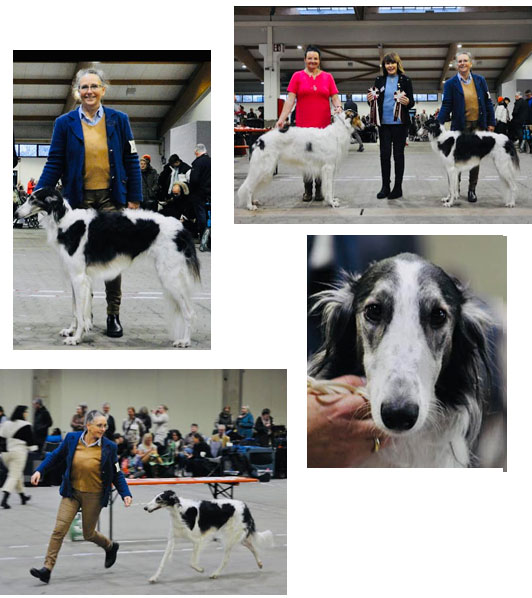 Stepuns Ivannija in Kassel