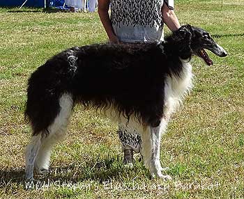 Stepuns Eljuscha aka Barakat