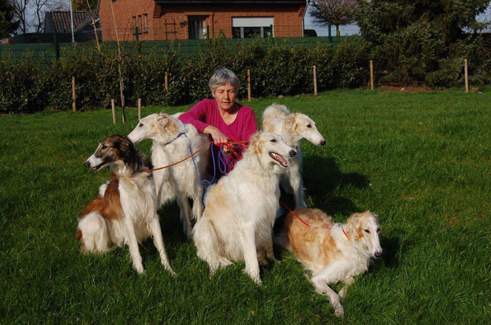 Stepuns Barsois 2018