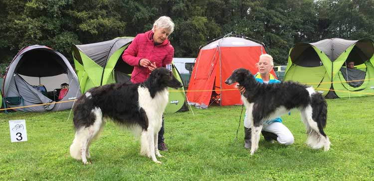 Stepun's Elekin und Nalewka vom Sölring Hus