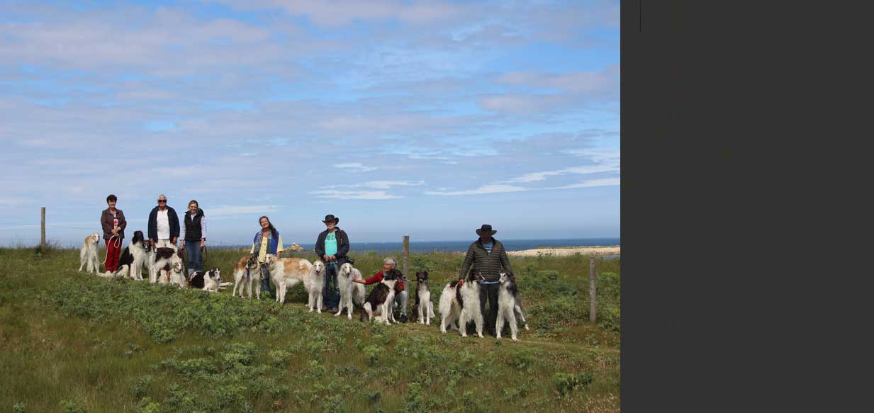 Stepun's Eljuscha aka Barakat
