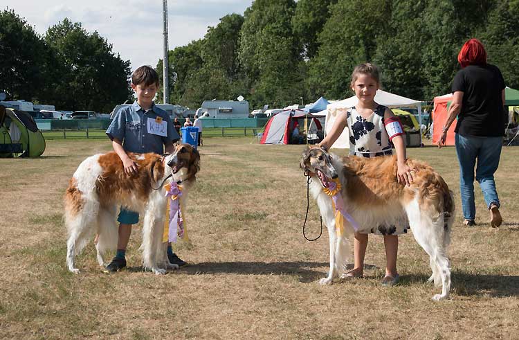 Wettbewerb Kind mit Hund