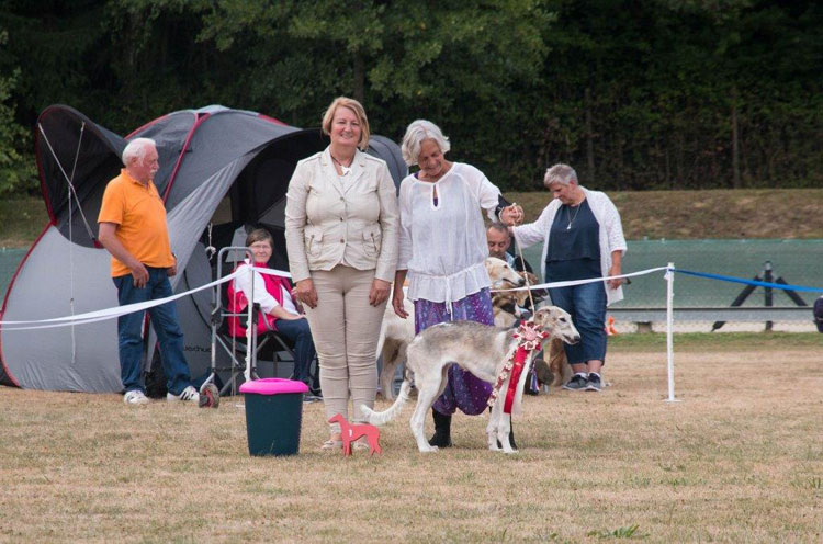 Stepuns Hatischka, 16 Wochen