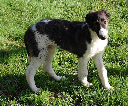 Elias wohnt jetzt in Schweden