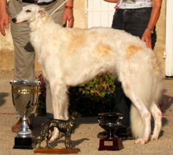 Profilbild des Tiers