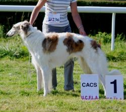 Profilbild des Tiers